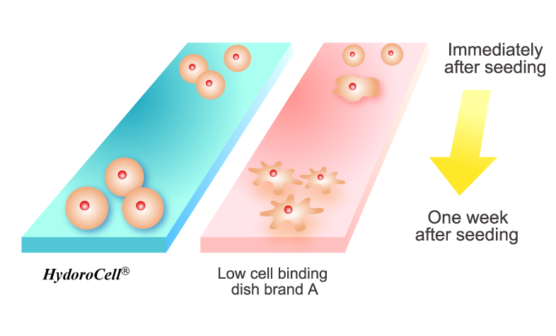 HydroCell surface designed to prevent cell attachment