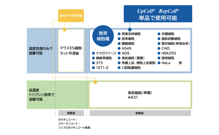 UpCell®の適用細胞種