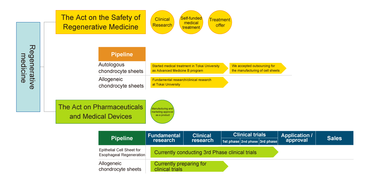 Progress of the pipeline