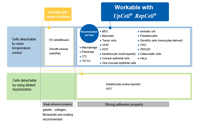 Suitable cell type for RepCell