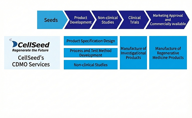 Overview Diagram of CellSeed’s CDMO Services