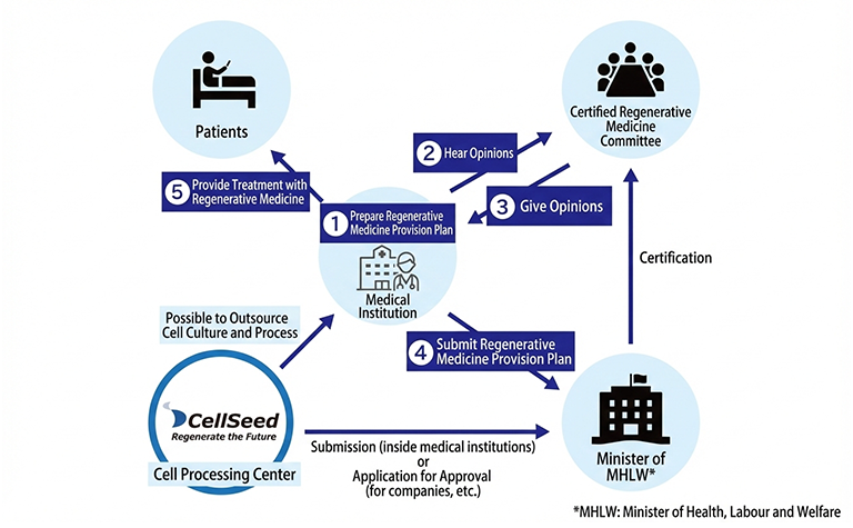 Process Flow Showing the Provision Procedures for Specified Processed Cells and the Involvement of Manufacturing Facilities