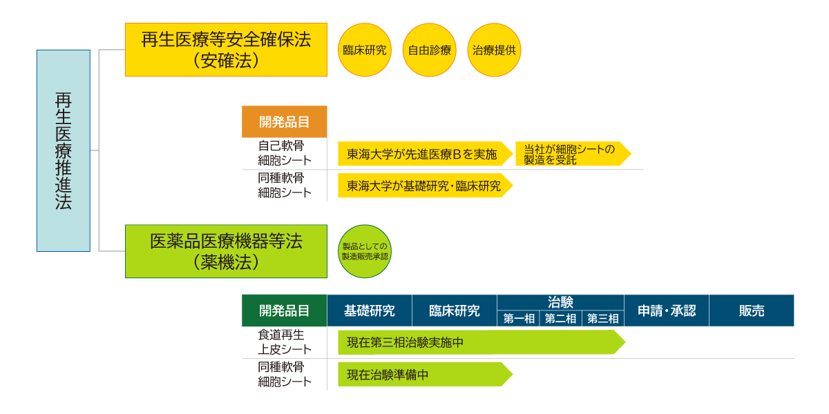 パイプラインの進捗状況