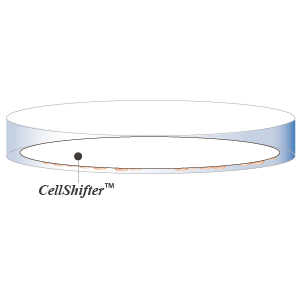 CellShifterを重ねる