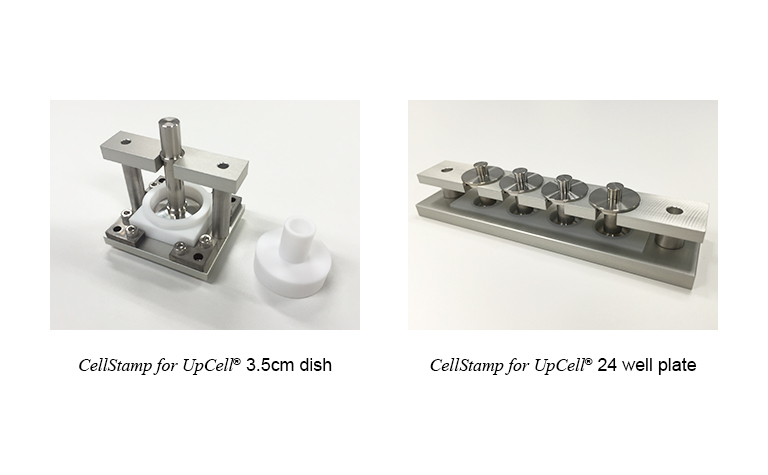 ThermoPlate