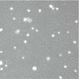 Recovered cell suspensions