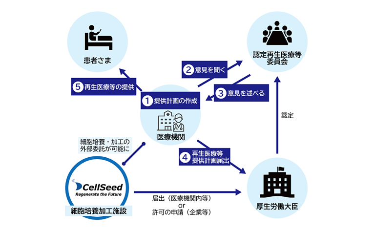 特定細胞加工物の提供手続きと製造施設の関与を示す流れ
