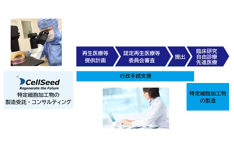 特定細胞加工物の製造受託と行政手続き支援