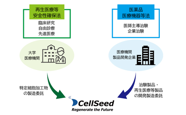 CellSeedの受託サービスと関連法制度