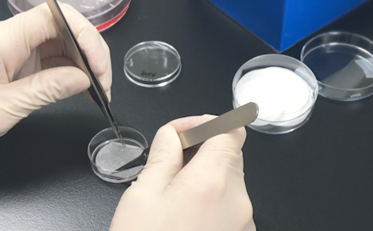 Training and Education in cell culturing technology