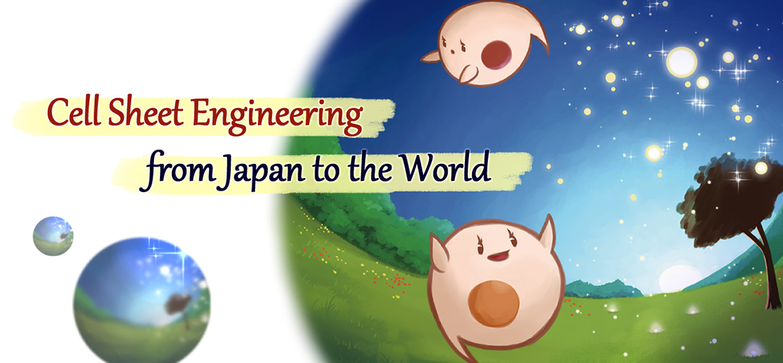 Cell Sheet Engineering from Japan to the World